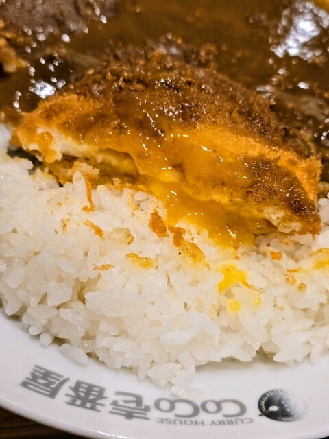 CoCo壱番屋 焼津国道150号バイパス店 （ココイチバンヤ） - 焼津