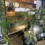 シッポ エスコンディーテ エスパニョール - 