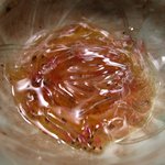 鮨和 - 2010冬-白魚の踊り食い