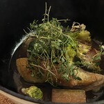 ジューダバレリーノ - 