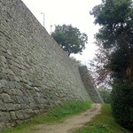 谷川米穀店 - ［2014/10］見事な石垣です。