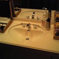 SALONE 2007 - 現統括マネージャー藤巻氏が三年間誰にも掃除をさせなかったという化粧室です。