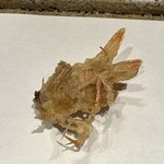 日本橋 蕎ノ字 - 海老味噌たっぷり