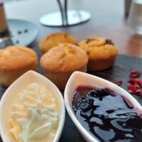 オールデイダイニング オアシスガーデン - 