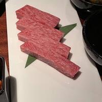 よろにく - 