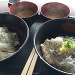 田子の浦港 漁協食堂 - W生しらす丼