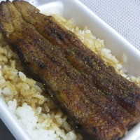 鰻 若松 - うなぎ弁当