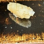 すし丈 - ケンサキイカ