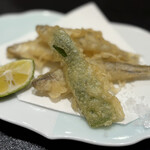 鮨割烹 六本木 亀甲 - 