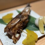 鮨割烹 六本木 亀甲 - 