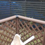 富良野チーズ工房 アイスミルク工房 - 料理写真: