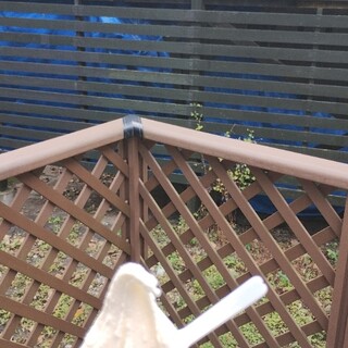 富良野チーズ工房 アイスミルク工房_0