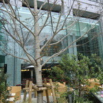 ハインツ・ベック - 