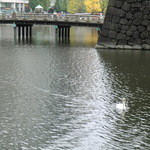 ハインツ・ベック - 目の前は皇居のお堀