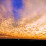 ミカドコーヒー - 