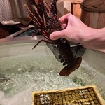 ゆるり。 酒槽 - 生け簀から採ってくれる！