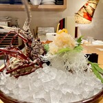 ゆるり。 酒槽 - 〈伊勢海老の活造り〉