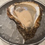 芝浦牡蠣屋 - 