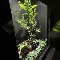 ラ カンロ - 
