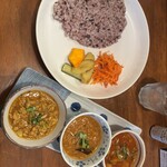 初台スパイス食堂 和魂印才たんどーる - 