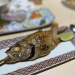 お花見久兵衛 - 