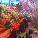 和処まるまさ　海鮮・旬彩料理 - 