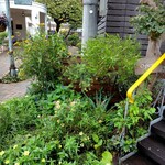 シャン ド ブレ - 植栽が可愛かったです