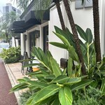 ブロートラント - 