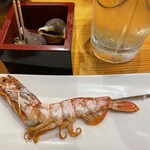 さかな日和 なみなみ - 