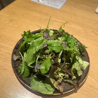 オービカ モッツァレラバー 横浜店 - 