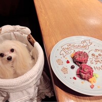 お肉プレート