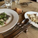 ドチリタ カサリンガ - 