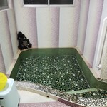 御宿 石川 - 手前本館のお風呂「昭和の湯」