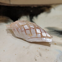 鮨まつもと - 