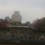 酒饌亭 灘菊かっぱ亭 - 