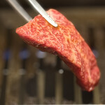 牛の達人 - カイノミ