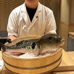 ふぐまどんな - 