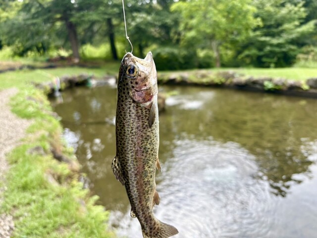 アクアマリンいなわしろカワセミ水族館 ミュージアムショップ - 翁島（その他）の写真