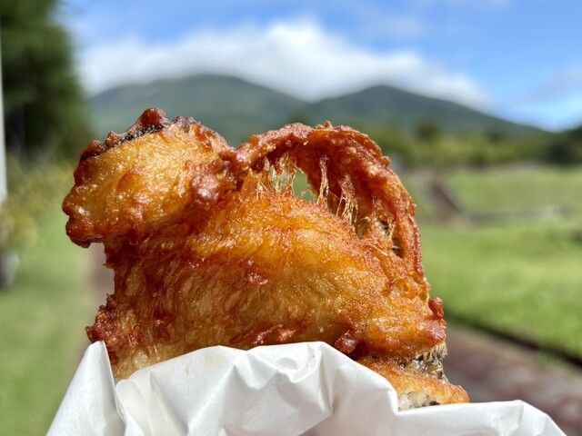 アクアマリンいなわしろカワセミ水族館 ミュージアムショップ - 翁島（その他）の写真