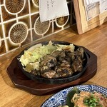 アライザラシ - 