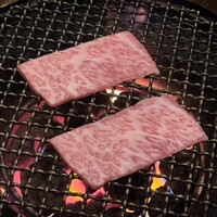 みやび 六本木店 - 