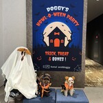 hotel anddoggy 京都二条 - 