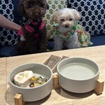 hotel anddoggy 京都二条 - 