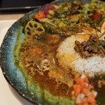 BOTANI：CURRY - 