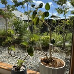 フジヤマコーヒーロースターズ 本店 - 