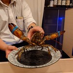 鉄板料理 かえる - 