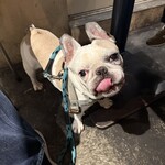 中目黒ひつじ - 