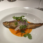 アルバロンガ - 