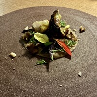 KURKKU FIELDS perus - 