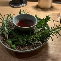 KURKKU FIELDS perus - 